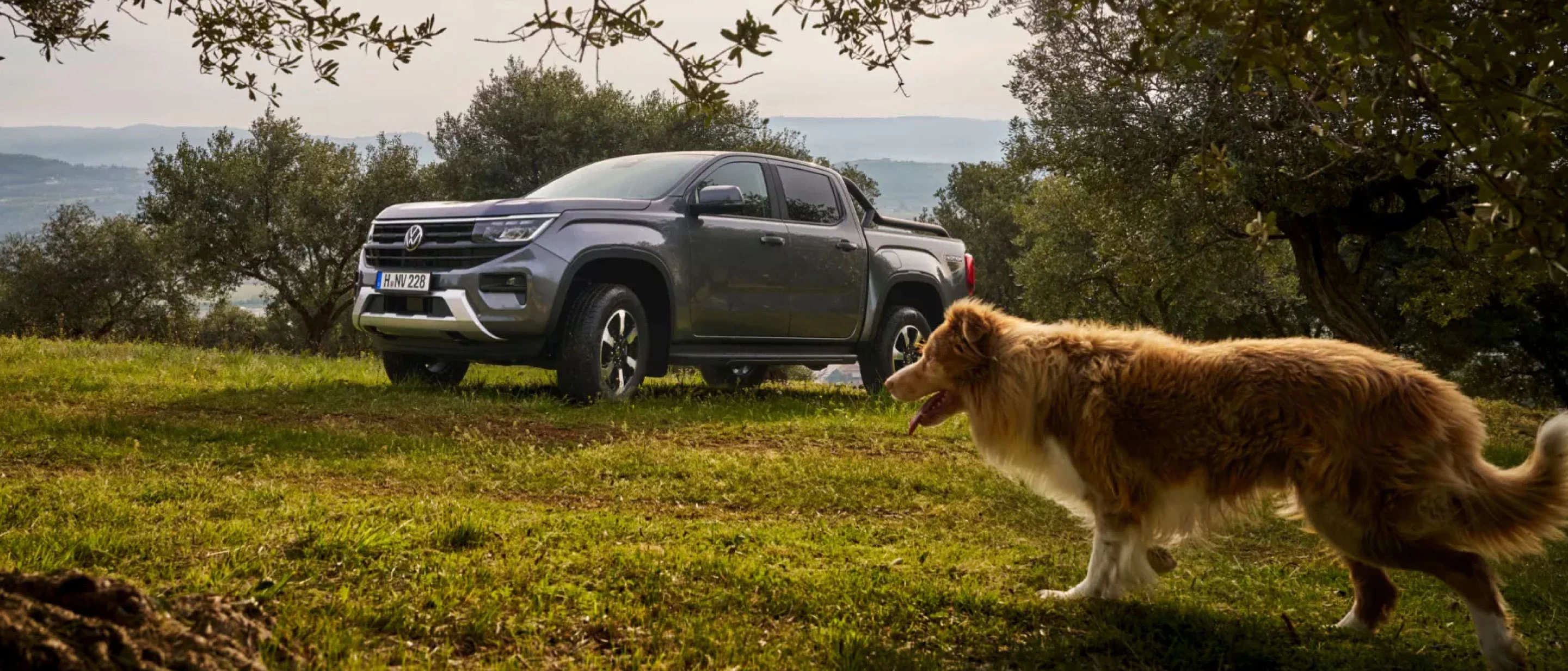 Promozione Amarok Dekstop