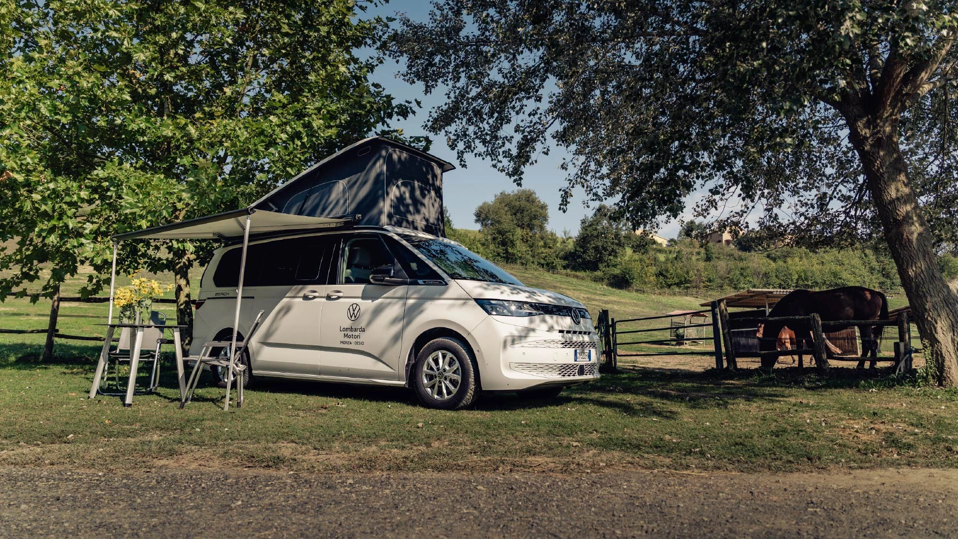 Business Driving Experience2 50