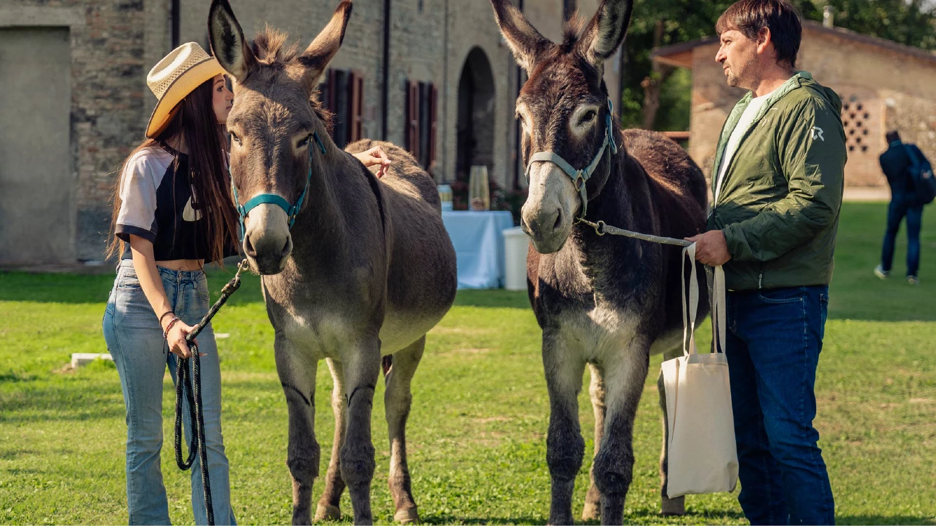 Business Driving Experience20 50