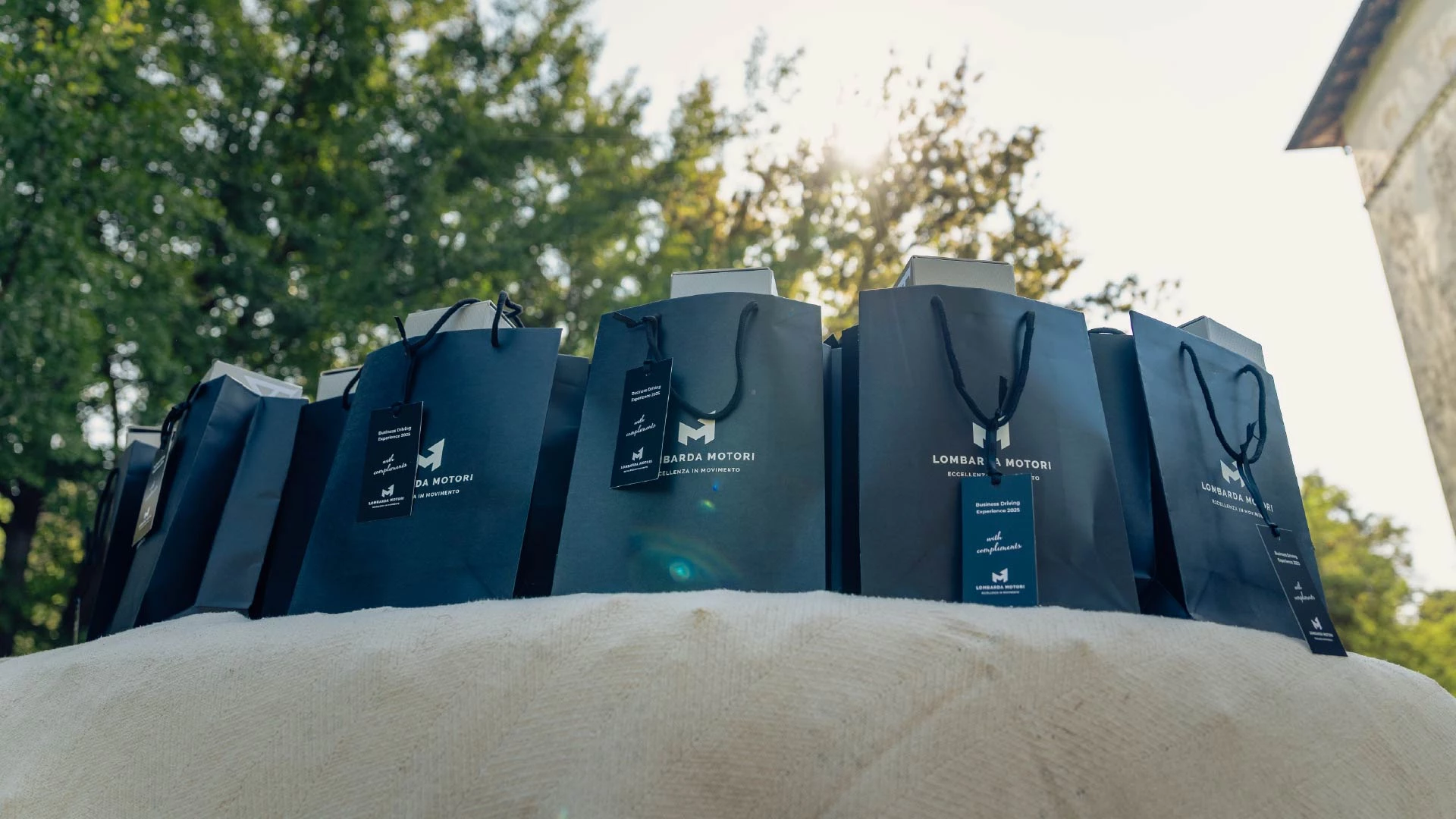 Business Driving Experience 8 50