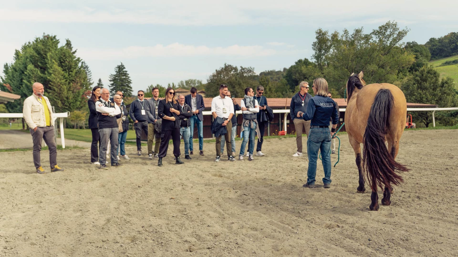 Business Driving Experience17 50