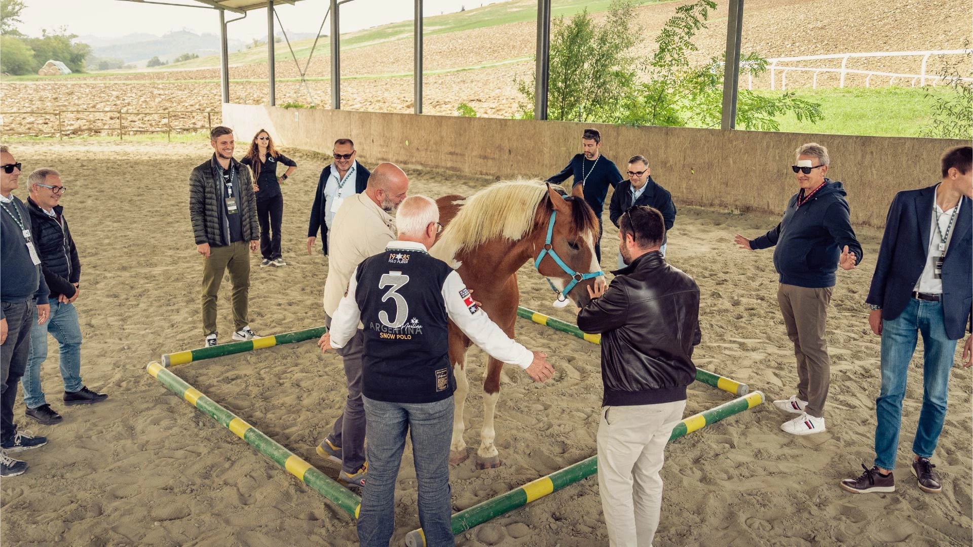 Business Driving Experience19 50